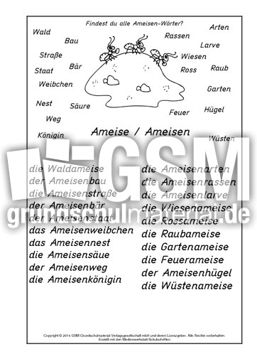 Ameisen-Wörter-Lösung.pdf